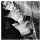 Abstract Brush Strokes
