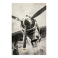 Aviation Art