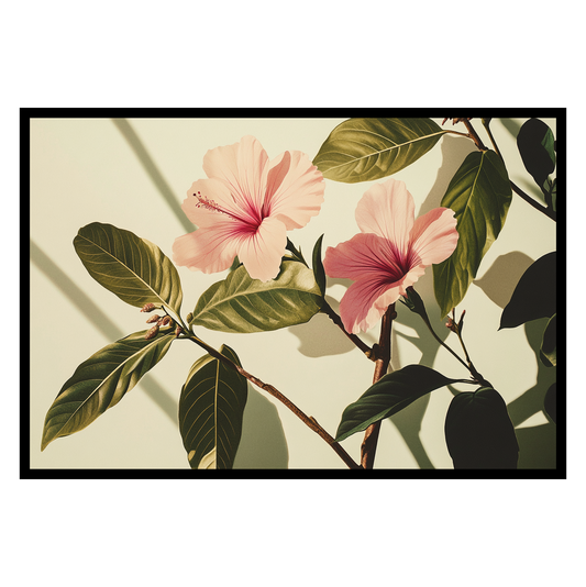Botanical Illustration