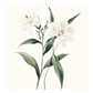 Botanical Illustration