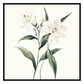 Botanical Illustration