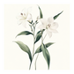 Botanical Illustration