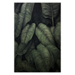 Botanical Pattern