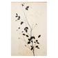 Botanical Pattern