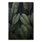 Botanical Pattern