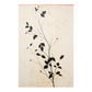 Botanical Pattern