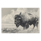 Buffalo