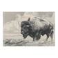 Buffalo