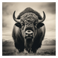 Buffalo