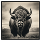 Buffalo