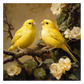 Canary