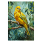 Canary