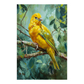 Canary