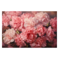 Carnation