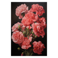 Carnation