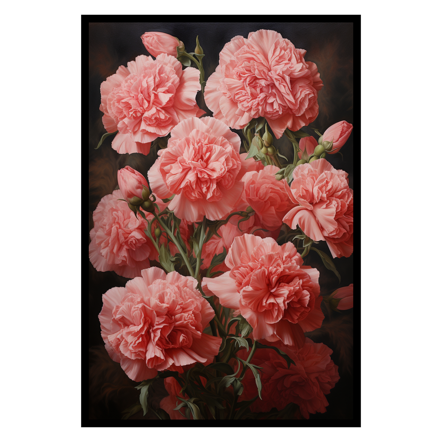 Carnation