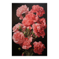 Carnation