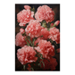 Carnation