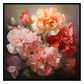 Carnations