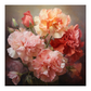 Carnations