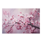 Cherry Blossom