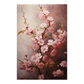 Cherry Blossom