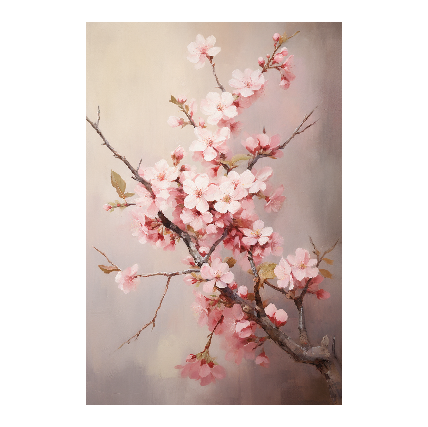 Cherry Blossom