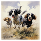 Dogs