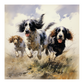 Dogs