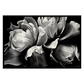 Flower Pattern