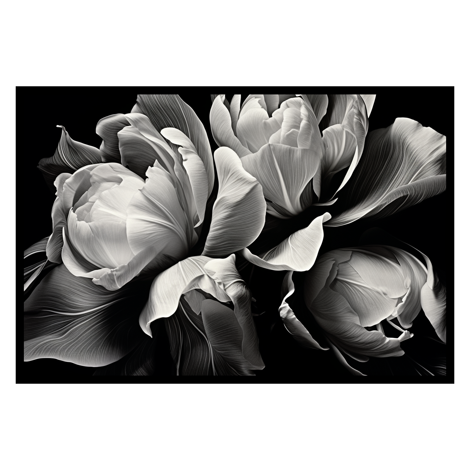 Flower Pattern