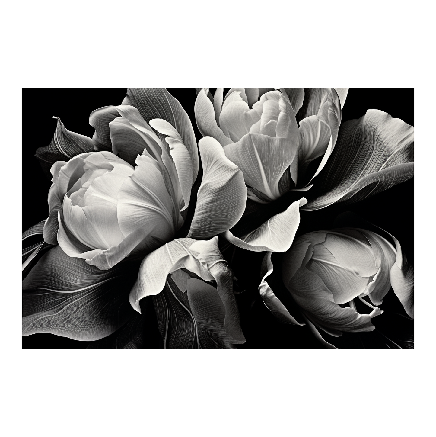 Flower Pattern