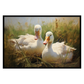 Goose