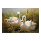 Goose