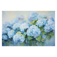 Hydrangea