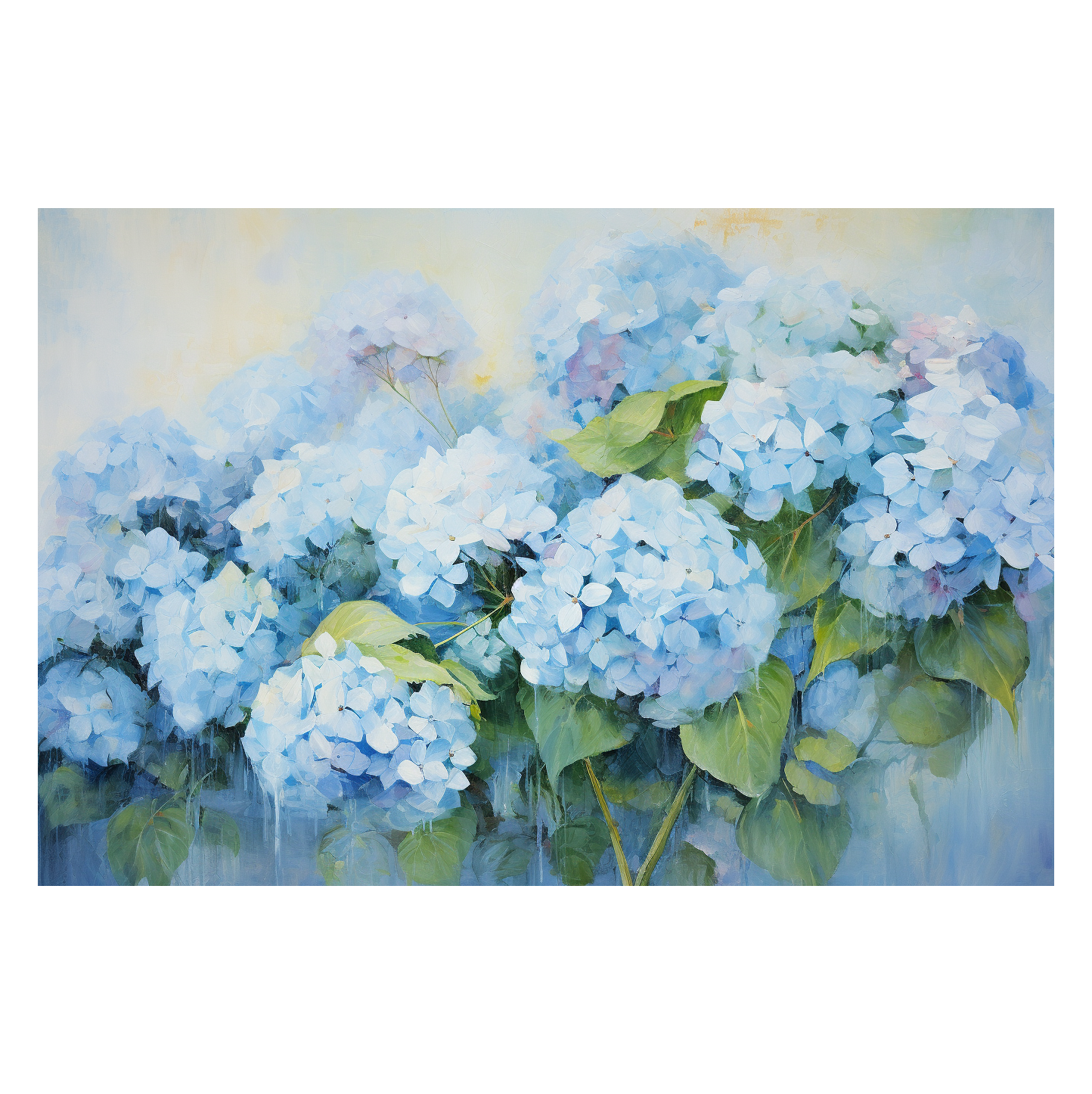 Hydrangea