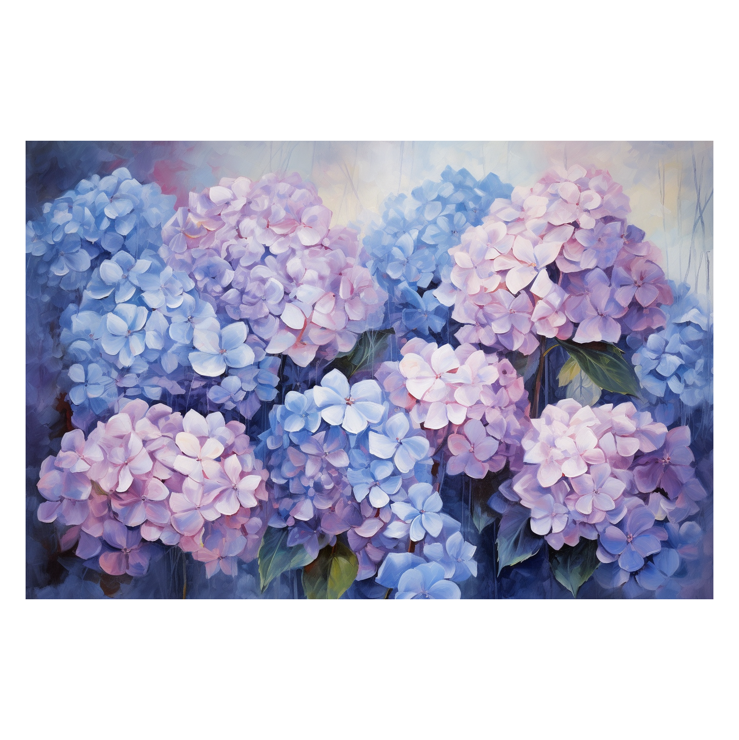 Hydrangea