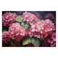 Hydrangea