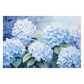 Hydrangea