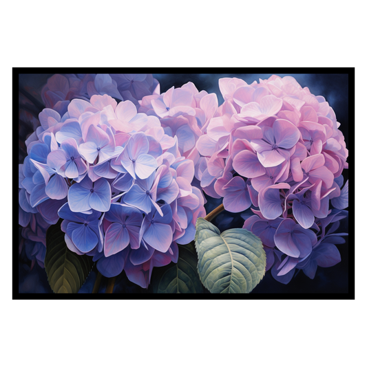 Hydrangea