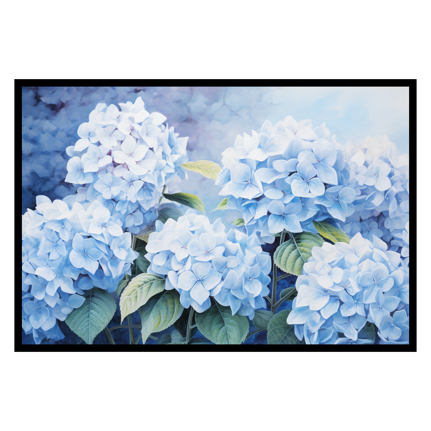 Hydrangea