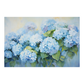 Hydrangea