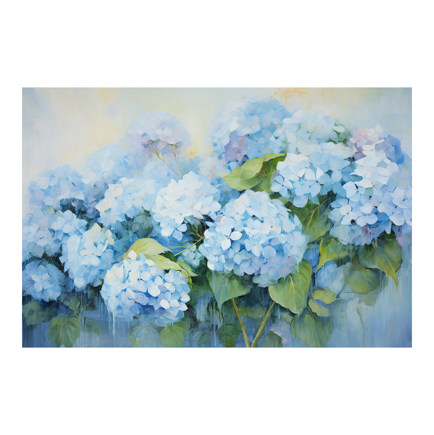 Hydrangea