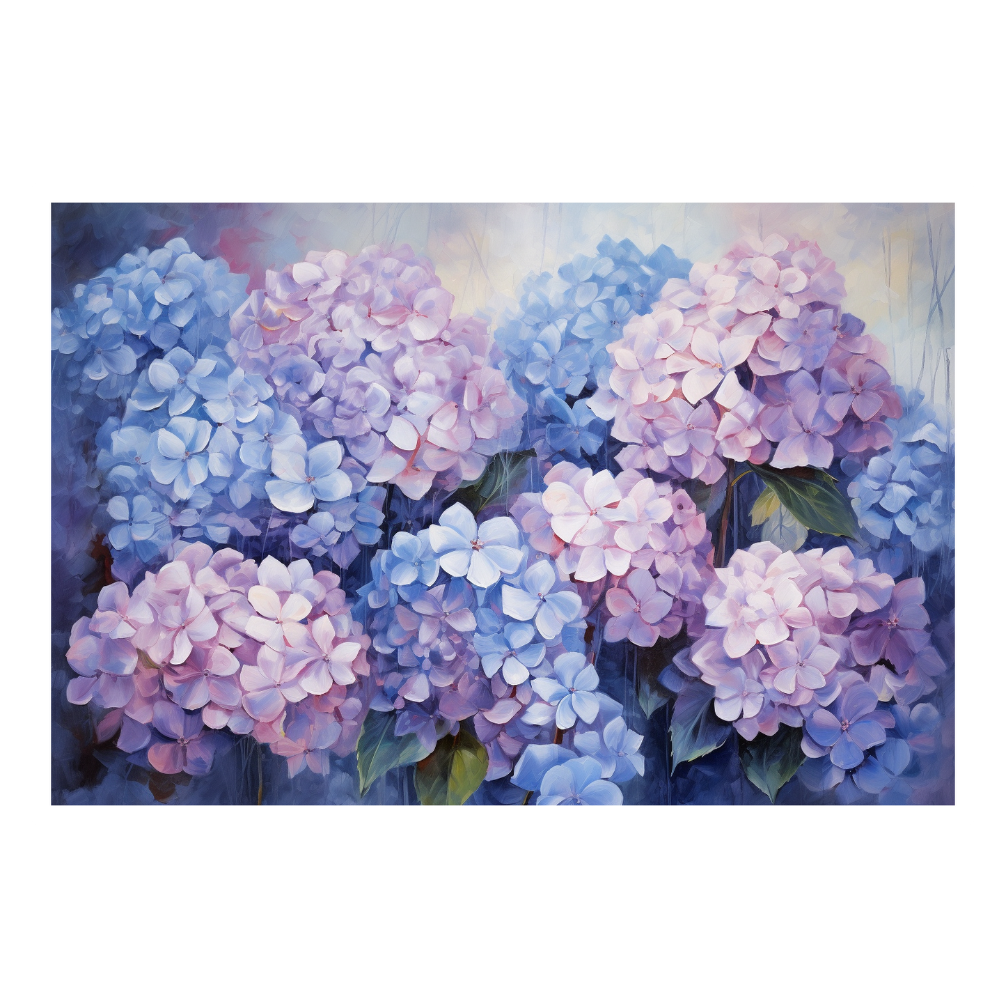 Hydrangea