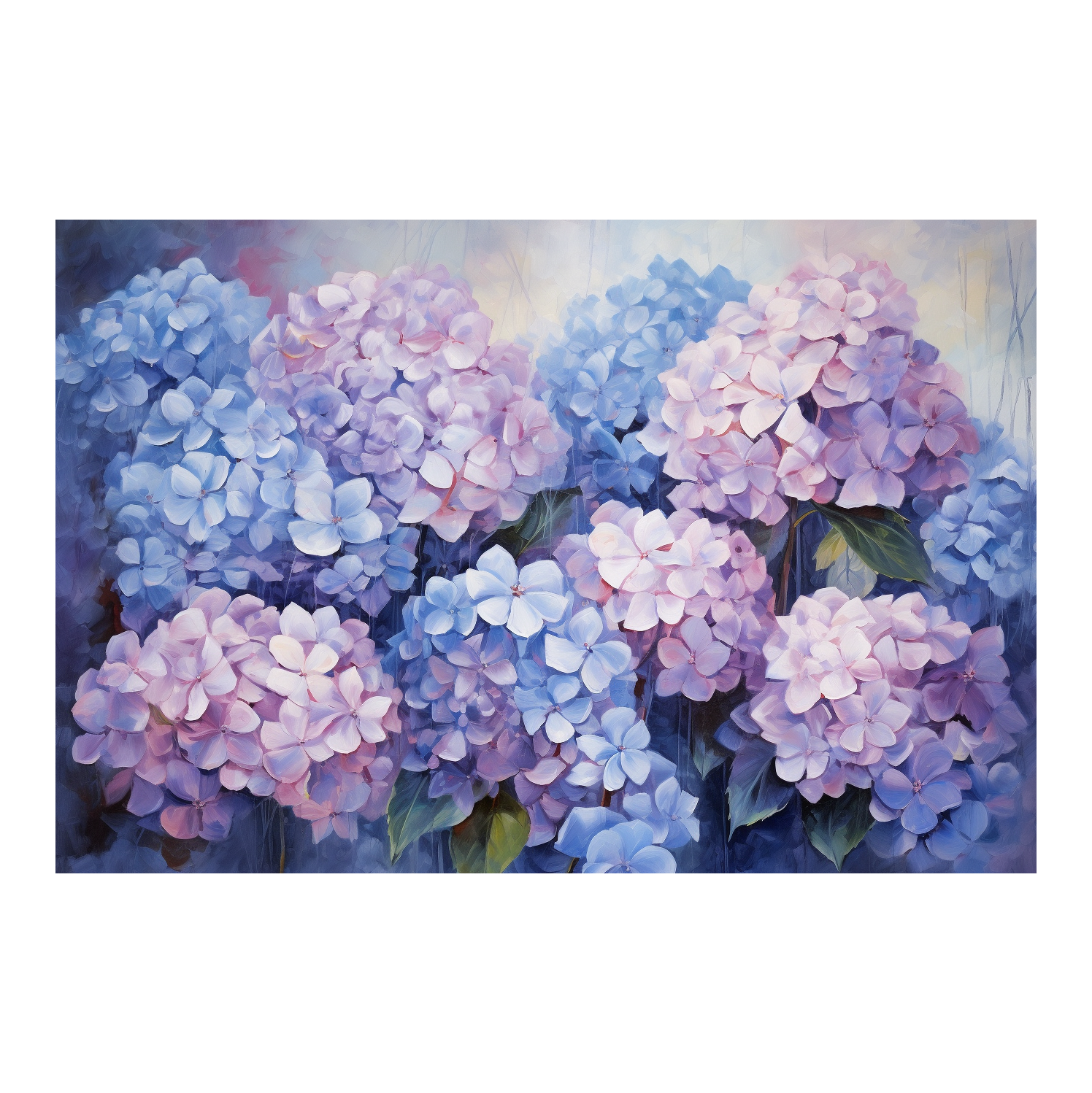 Hydrangea