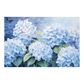 Hydrangea