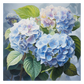 Hydrangea