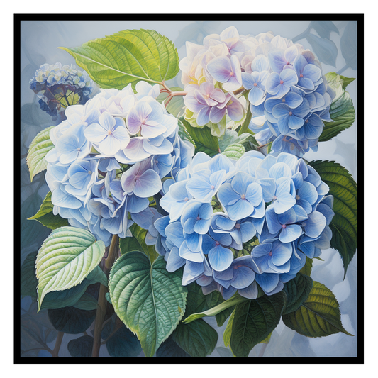 Hydrangea