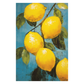 Lemons