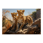 Leopards
